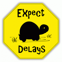 Expect Delays Sign with Turtle