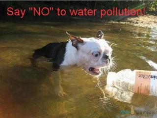 Say No to Water Pollution