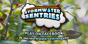 Stromwater Sentries Game